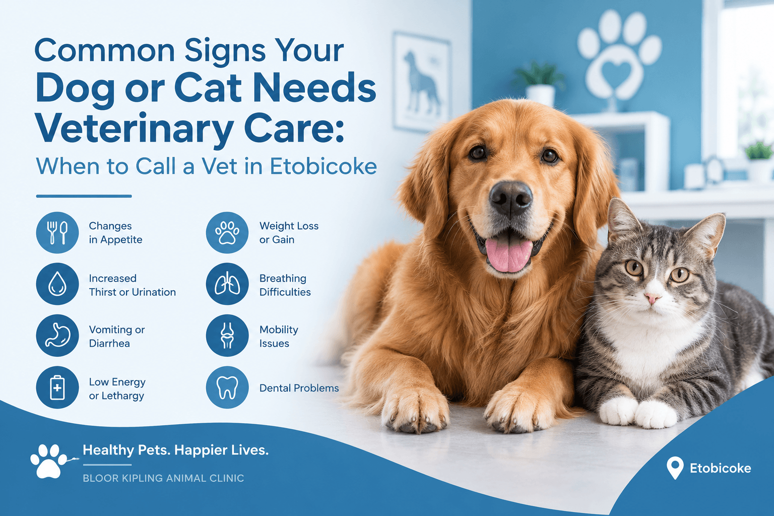 Why Spaying and Neutering are Essential for Your Pet’s Health Vvet Etobicoke