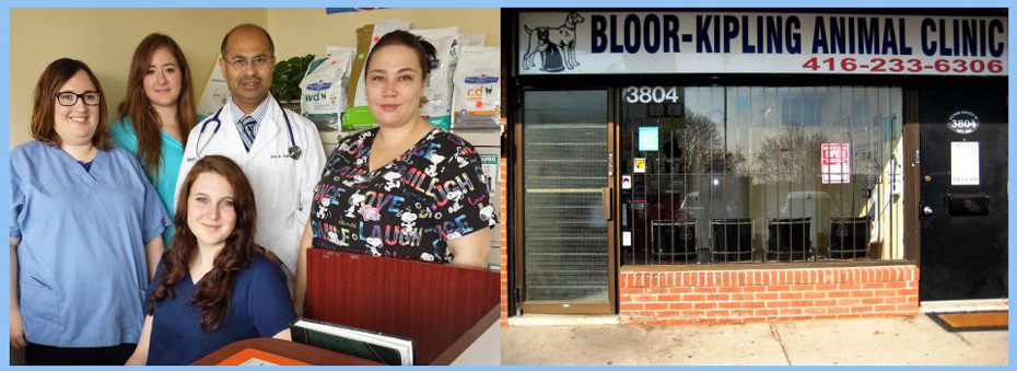 Bloor-Kipling Animal Clinic