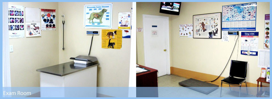 Bloor-Kipling Animal Clinic