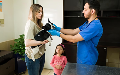 The Importance of Regular Pet Physical Exams: Keeping Your Furry Friend Healthy