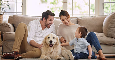How to Prepare Your Pet for Parasite Testing 